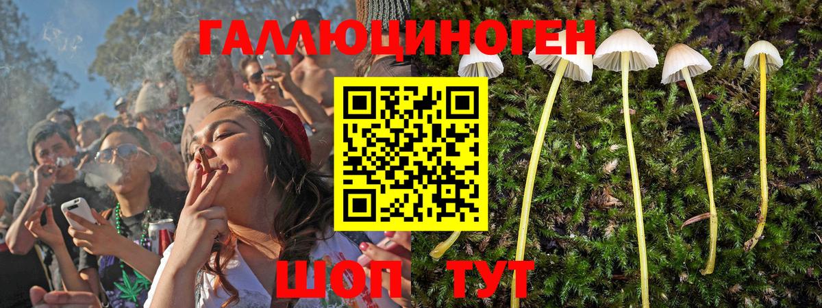 Лянтор  Галлюциногенные грибы прущие грибы  Вход с VPN  Галлюциногенные грибы прущие грибы 