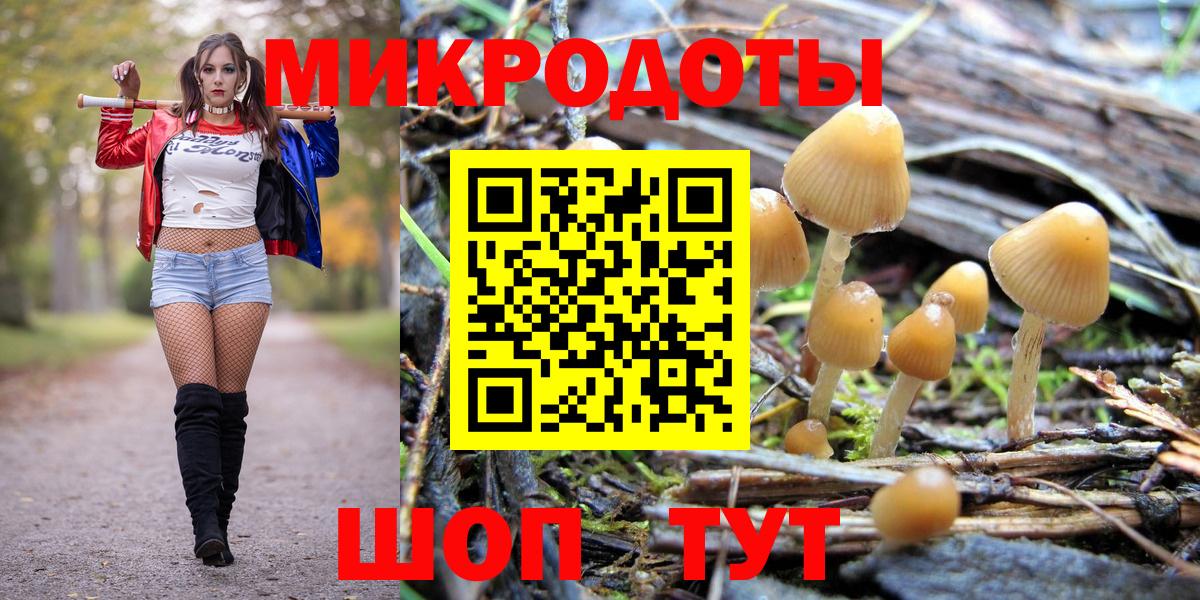 Псилоцибиновые грибы Psilocybe Лянтор